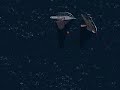 leo-pav