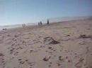 beach footy