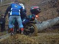 Fedelesoiu-Curtea-de