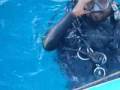 videos de Embudu Village, Diverland, Embudu Express