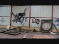 Saturday TagHouse Training Day