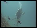 Under The Sea