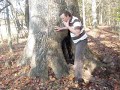 Hollow Tree