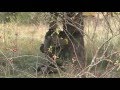 Airsoft - Big Combat 2 Milovice 2007