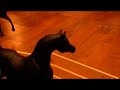 Greenwood Stables Tour Updated! Greenwood Stables Tour Updated!