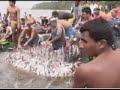 projeto: momento da col�nia de pescadores z-16 de camet�.
tema: tratamento de purifica��o da �gua.
ag�ncia 7 marketing e comunica��o.
dire��o geral: jo�o henrique andrade nunes.
locu��o: walter bandeira.
texto: orlando cassique.
edi��o de imagem e computa��o gr�fica: jo�o henrique.
imagens: siqueira e chico.
este video foi produzido pela ag�ncia 7 marketing e comunica��o.