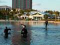 Dolphin Cay, Atlantis Resort, Bahamas 