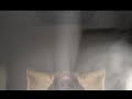 Life - a film about death