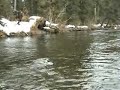 Faina il Alaska