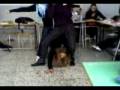 videos de PAZZE 4EVER LE PROVE ORSOLAAAA SEI SEMPRE TU