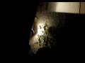 videos de RE LOCO EH