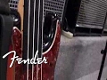 Tony Franklin- Fretless Bass