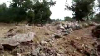 الفالوجه - قرية الفالوجه الفلسطينية الفالوجه - قرية الفالوجه الفلسطينية