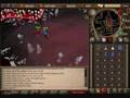 Runescape Training Guide Preview
