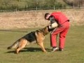 Amik obrana Dv?r Kr�lov� 24.2.2008