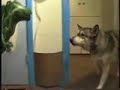 Bill Hicks Scares His Dog