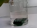 soyotech / Samsung SGH-M110-ToughPhone test-Soak in water soyotech / Samsung SGH-M110-ToughPhone test-Soak in water