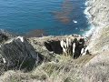 Scenic drive on Highway 1 with elephant seals
