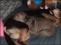 Buddha, our Chinese Sharpei