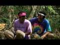 Emotional Hippies - Crying Over Dead Trees parody