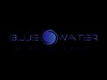Blue Water Quality Spas