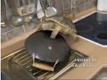 Turtle mistake Turtle mistake