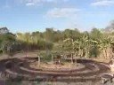 Produ��o Agroecol�gica Integrada e Sustent�vel - PAIS