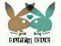 Playboy Bunny Playboy Bunny