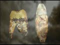 prehistoria península ibérica  1ª parte 