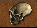 prehistoria península ibérica  1ª parte 