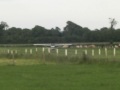 Touch and Go runway28  1
