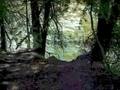 videos de Elora Gorge Techno Remix BlobParty Style