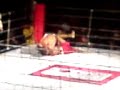 Luta vale tudo BoB X Farley! by Jean e Marcel