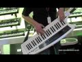 Roland AX Synth Demo - Nevada Music UK
