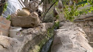 Battir: Beauty captures the eyes and the heart Battir: Beauty captures the eyes and the heart
