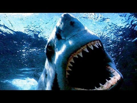 Shark Night (2011) BluRay 720p BRRip 550MB