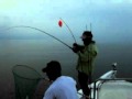 LIMITS OF BRETON SOUND MONSTER SPECKLED TROUT!!!