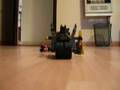 videos de lego robins and batmans old clothe
