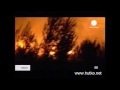 Видеоновость Пожар возле Марселя