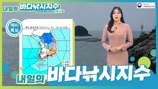 해양예보방송씨씨티비