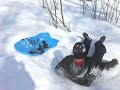 Tobogganing at st.vital park