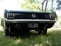 '65 Mustang at Idle, and Rev'ed