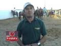 videos de Palavra de Veterinário: Mormo