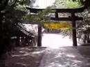 Gate & torii in konpira