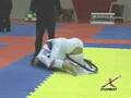 Gezary Matuda x Ocean Talvard by X-COMBAT