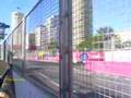 Formula Indy nas ruas de Surfer`s Paridise gold coast OZ 1
