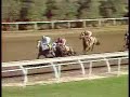 1984 Breeders\