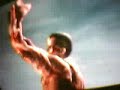 RE4-Krauser Mutates.
