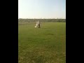 Oxalys park flyer on Wormwood Scrubs rc london