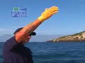thefishingshow GREAT WHITE SHARK encounter